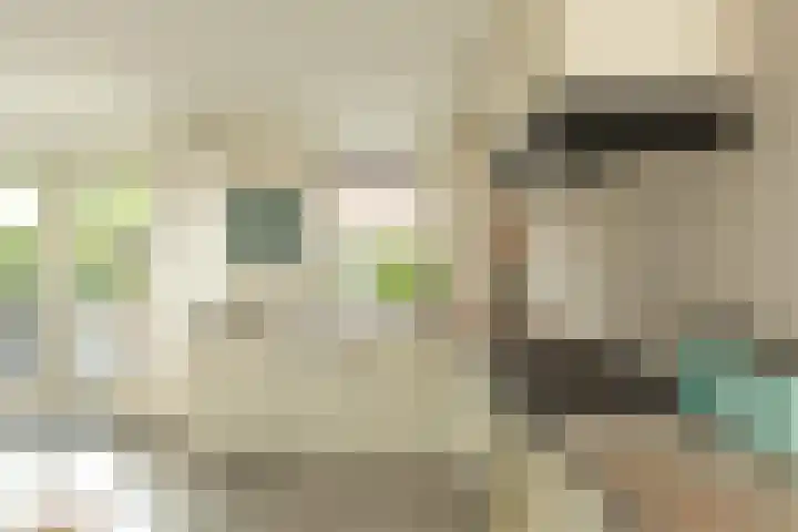 Laapersboog 4 Hilversum thumbnail 8