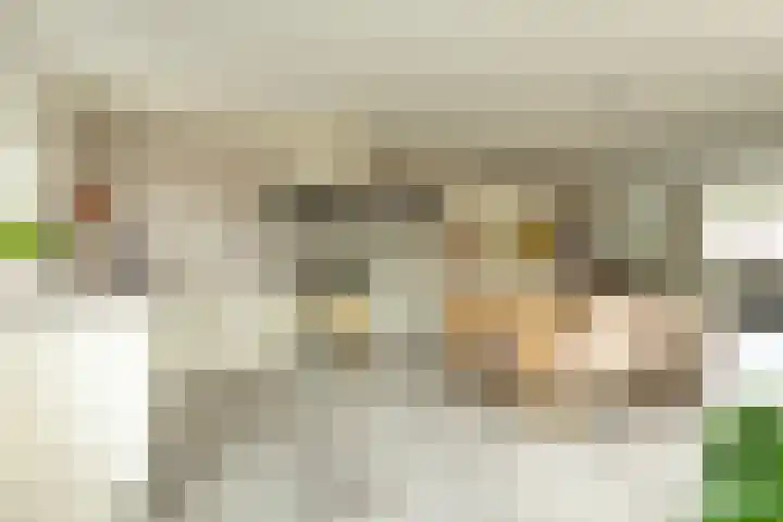 Laapersboog 4 Hilversum thumbnail 9