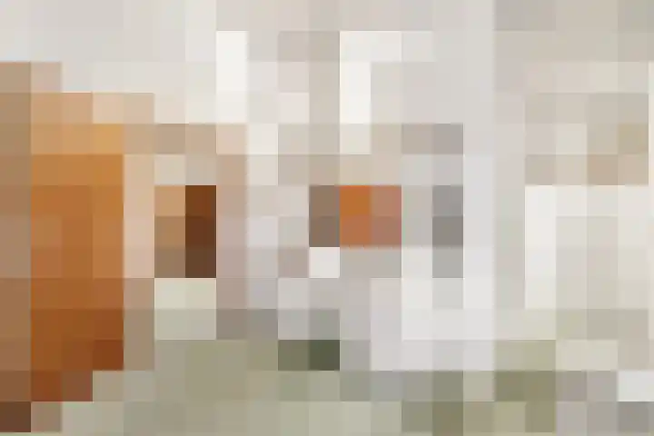 Laapersveld 48 Hilversum thumbnail 24
