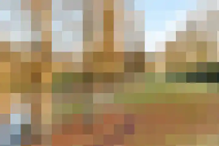 Laapersveld 48 Hilversum thumbnail 28
