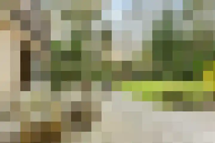 Laapersveld 48 Hilversum thumbnail 6