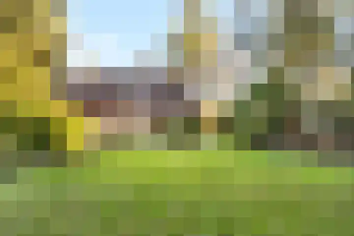 Laapersveld 48 Hilversum thumbnail 8