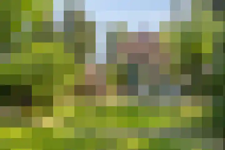 Laar 34 Nistelrode thumbnail 43