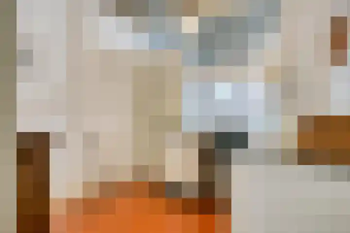 Laar 34 Nistelrode thumbnail 62