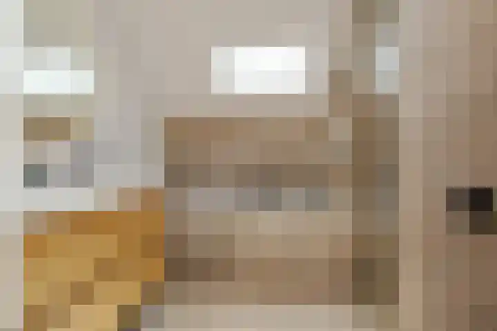 Laarderweg 37 A Weert thumbnail 4