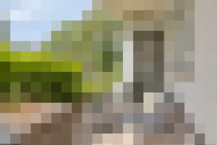 Laaressingel 37 Enschede thumbnail 10