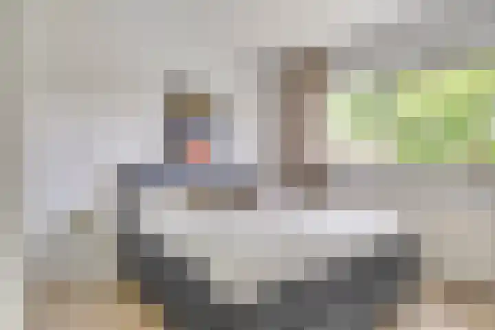 Laaressingel 37 Enschede thumbnail 21