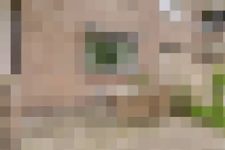 Laaressingel 37 Enschede thumbnail 26