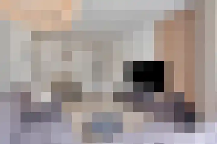 Laaressingel 37 Enschede thumbnail 4