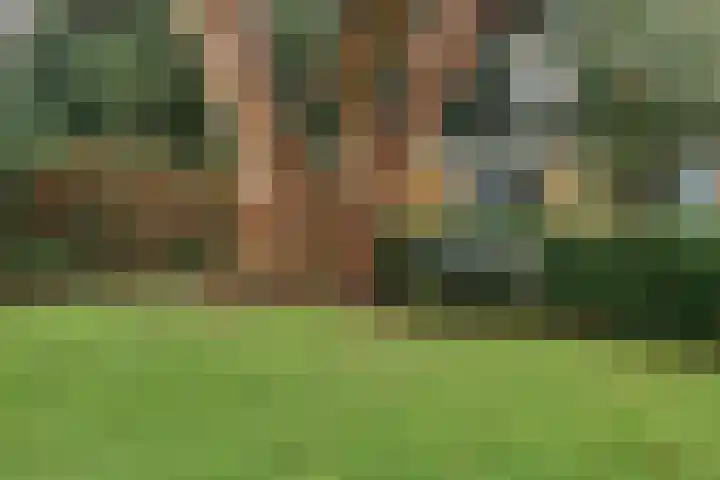Laaressingel 43 Enschede thumbnail 21