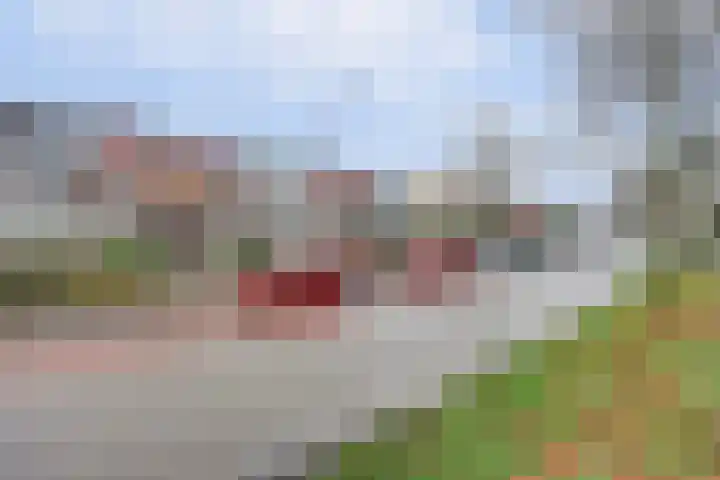 Laaressingel 43 Enschede thumbnail 4