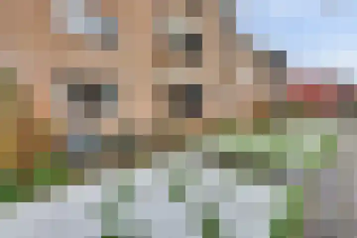 Laaressingel 43 Enschede thumbnail 6