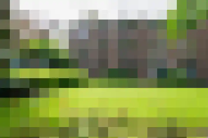 Laaressingel 59 Enschede thumbnail 32