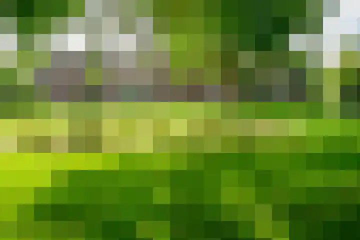 Laaressingel 59 Enschede thumbnail 5