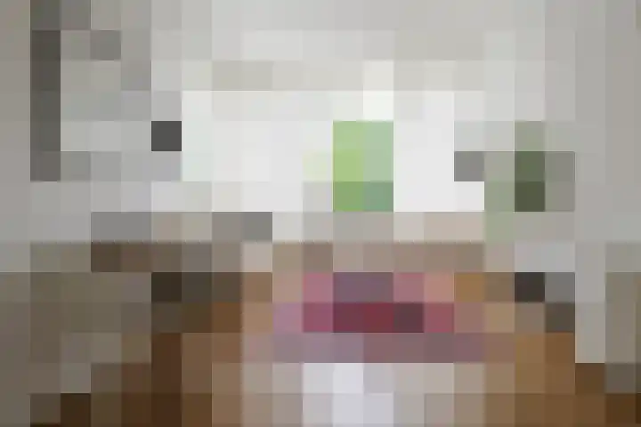Laaressingel 59 Enschede thumbnail 7