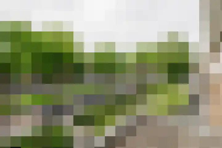 Laaressingel 59 Enschede thumbnail 8