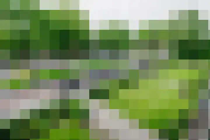 Laaressingel 59 Enschede thumbnail 9