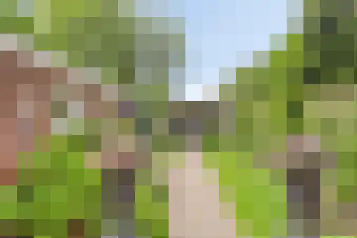 Laaressingel 66 Enschede thumbnail 40