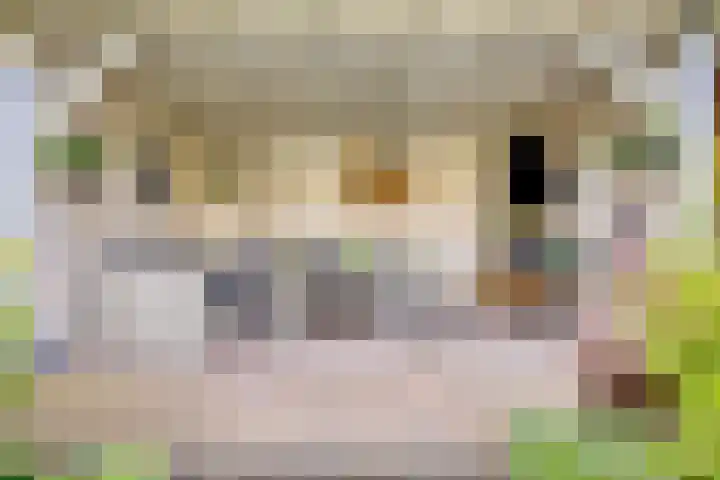 Laaressingel 66 Enschede thumbnail 43