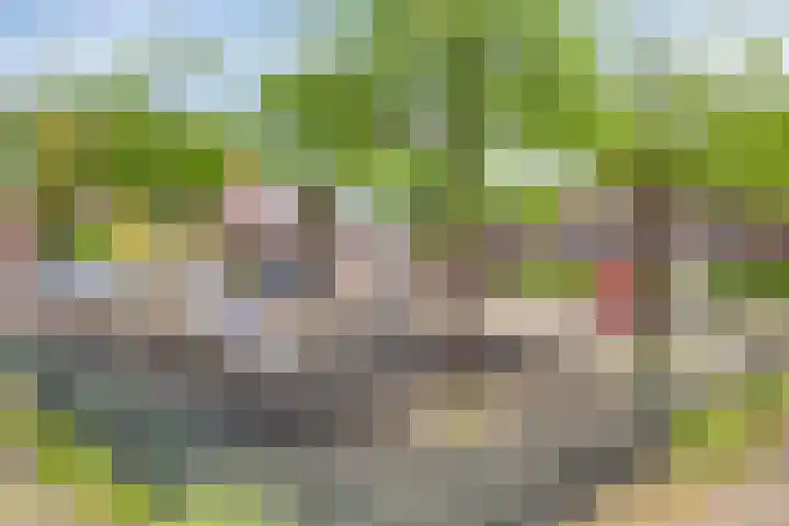 Laaressingel 66 Enschede thumbnail 48