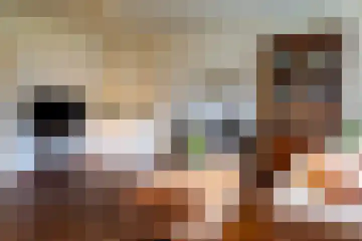Laaressingel 7 Enschede thumbnail 10