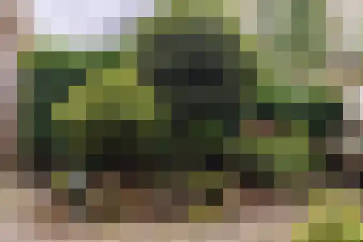 Laaressingel 7 Enschede thumbnail 21