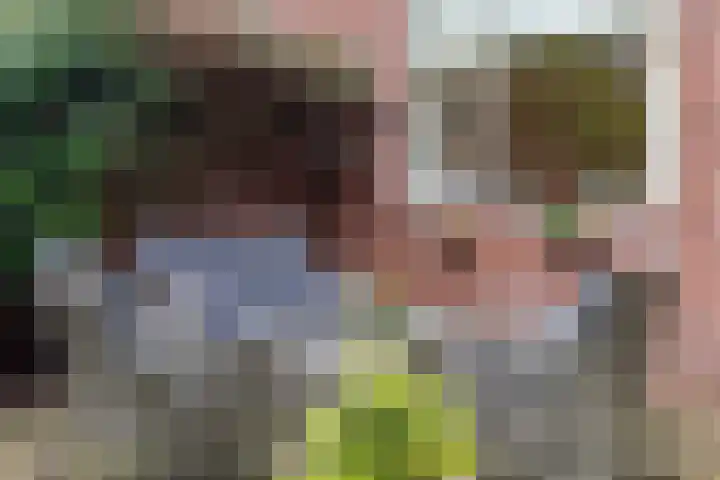 Laaressingel 7 Enschede thumbnail 23