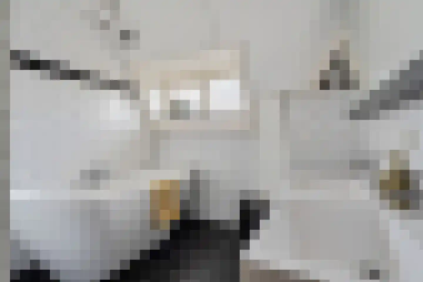 Laaressingel 8 Enschede thumbnail 23