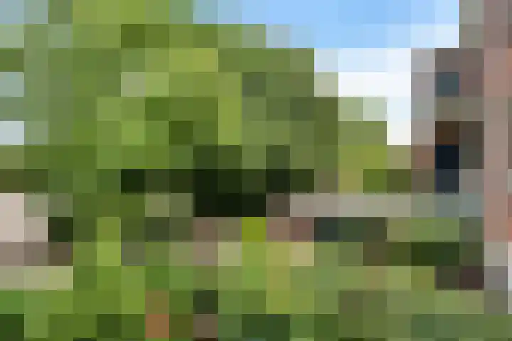 Laaressingel 9 Enschede thumbnail 14
