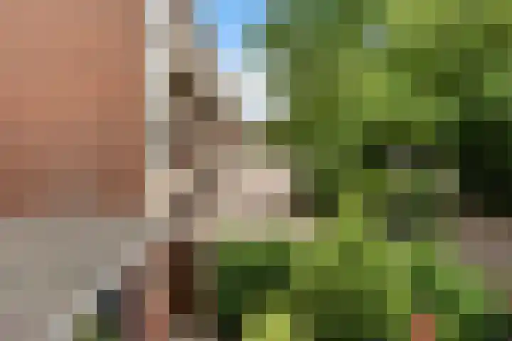 Laaressingel 9 Enschede thumbnail 15