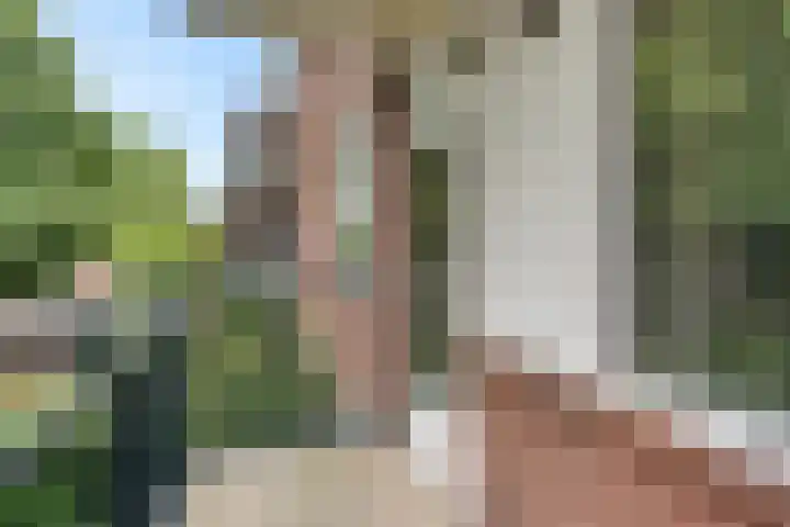 Laaressingel 9 Enschede thumbnail 16