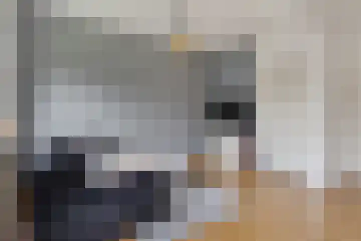 Laaressingel 9 Enschede thumbnail 8