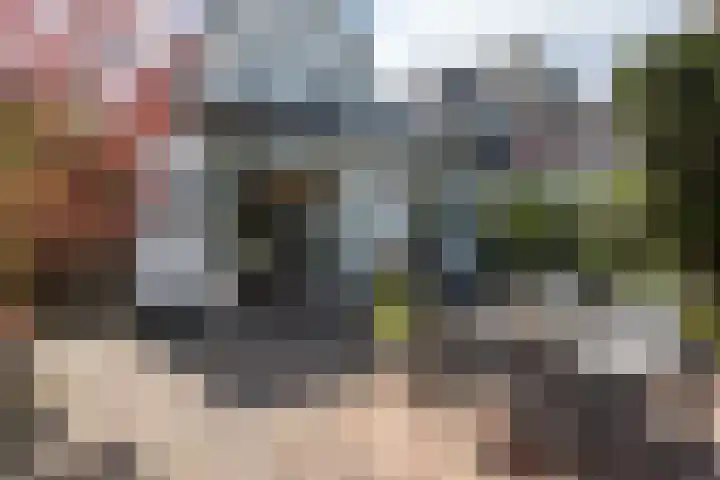Laarmanstraat 19 Heiloo thumbnail 41