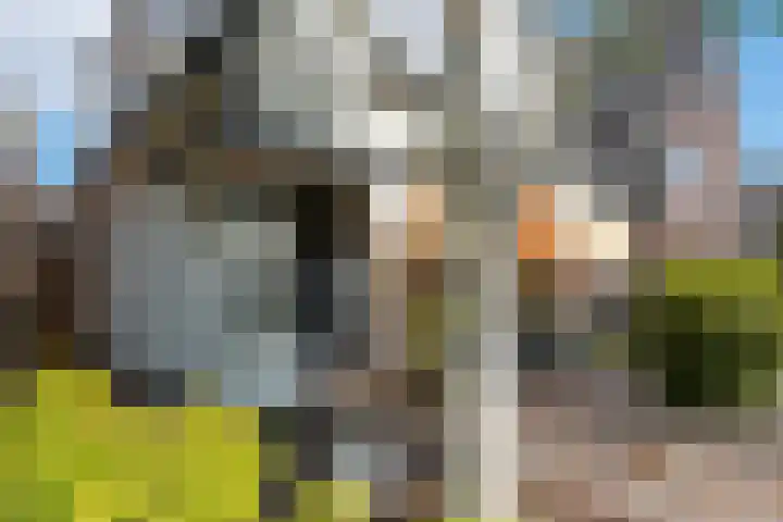 Laarmanstraat 19 Heiloo thumbnail 44