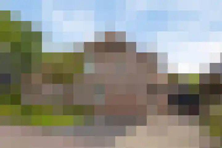 Laarpark 18 A Veghel thumbnail 53
