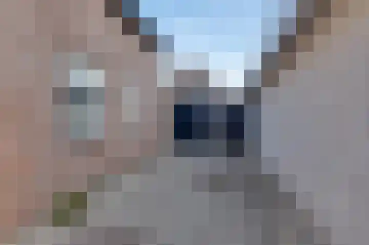Laarpark 18 A Veghel thumbnail 9