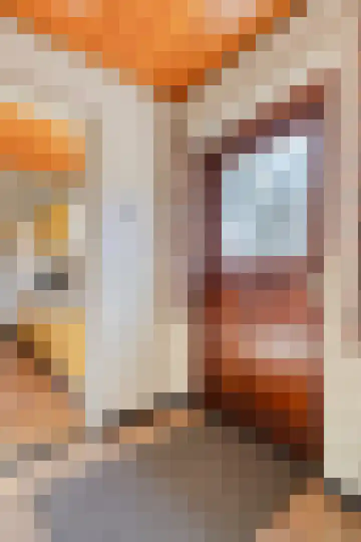 Laarstraat 11 Someren thumbnail 15