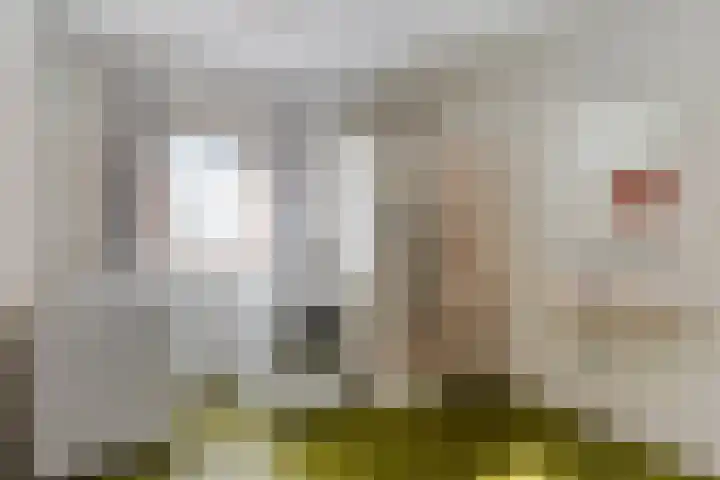 Laarstraat 11 Someren thumbnail 21