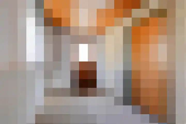 Laarstraat 11 Someren thumbnail 33