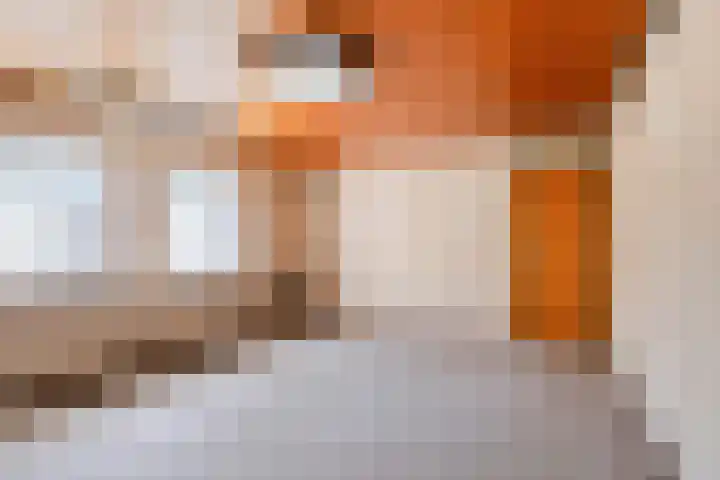 Laarstraat 11 Someren thumbnail 35