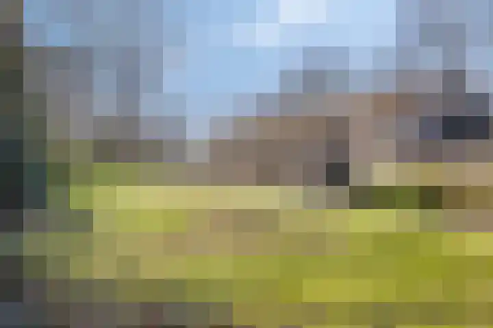 Laarstraat 11 Someren thumbnail 49