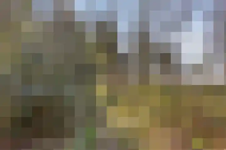 Laarstraat 11 Someren thumbnail 50
