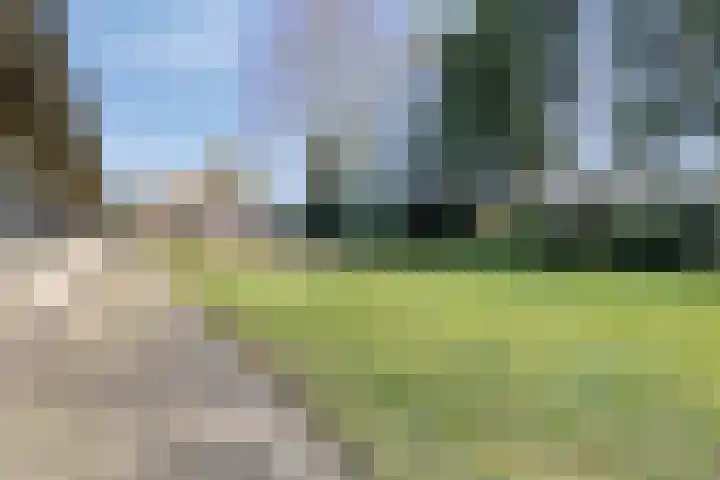 Laarstraat 11 Someren thumbnail 53