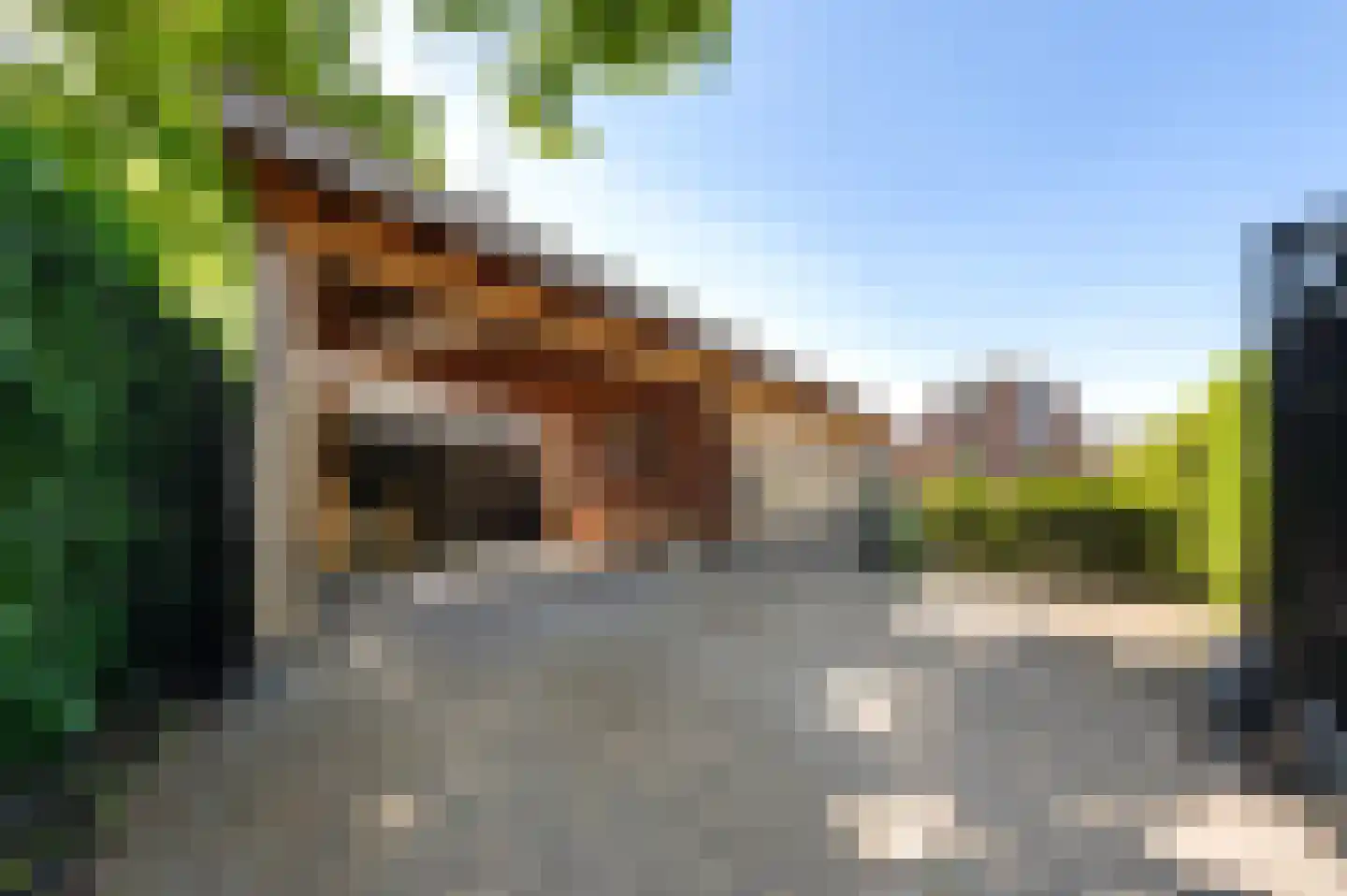 Laarstraat 34 Goor thumbnail 12