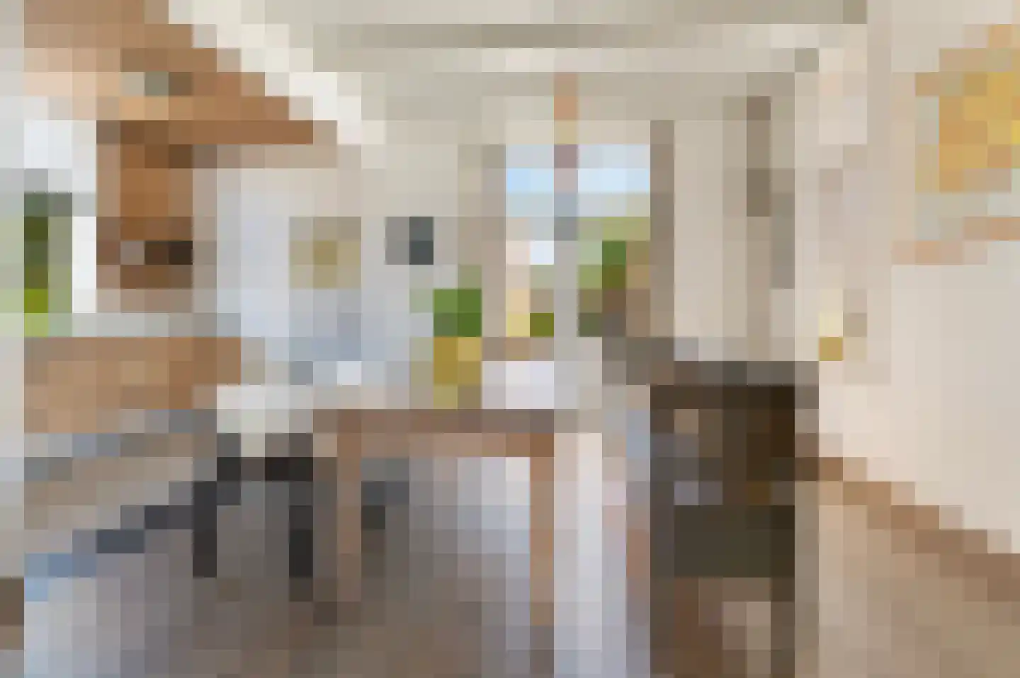 Laarstraat 34 Goor thumbnail 7