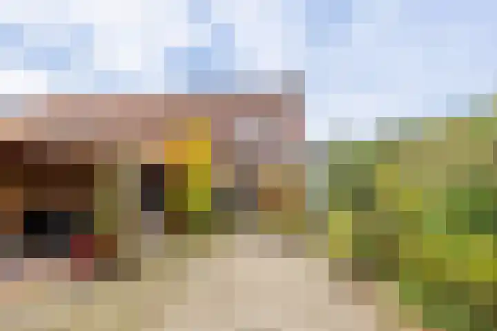 Laarstraat 46 Goor thumbnail 15