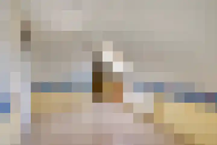 Laarstraat 46 Goor thumbnail 22
