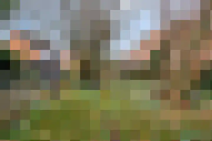 Laarstraat 46 Goor thumbnail 27