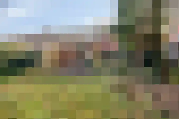 Laarstraat 46 Goor thumbnail 28