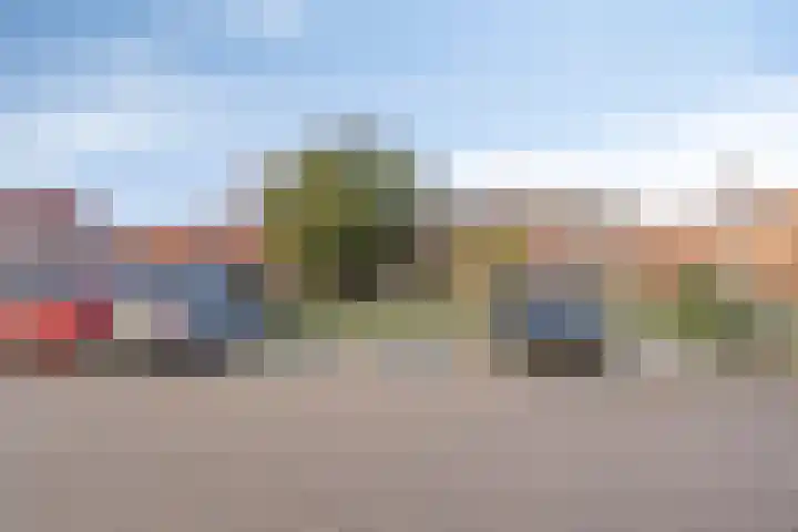 Laarstraat 46 Goor thumbnail 4